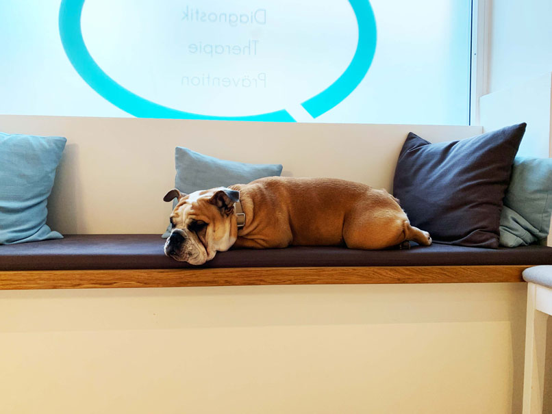 Emma auf der Wartebannk im Flur Selbstredend, Praxis für Logopädie Nürtingen