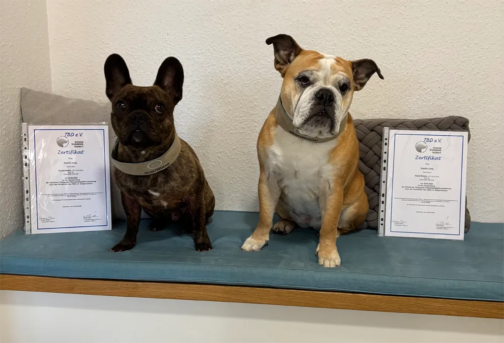 Hektor und Emma nach bestandener Therapiehund-Pruefung